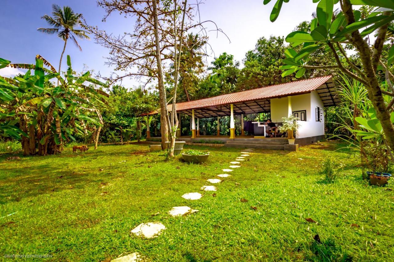 Coconut Villa Мідіґама-Іст Екстер'єр фото